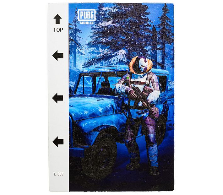 Пленка гидрогелевая для плоттера (SKIN) "Print" L-065